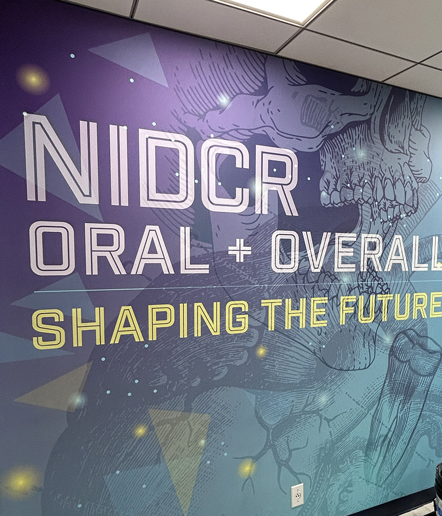 Close up of NIA NIDCR Mural