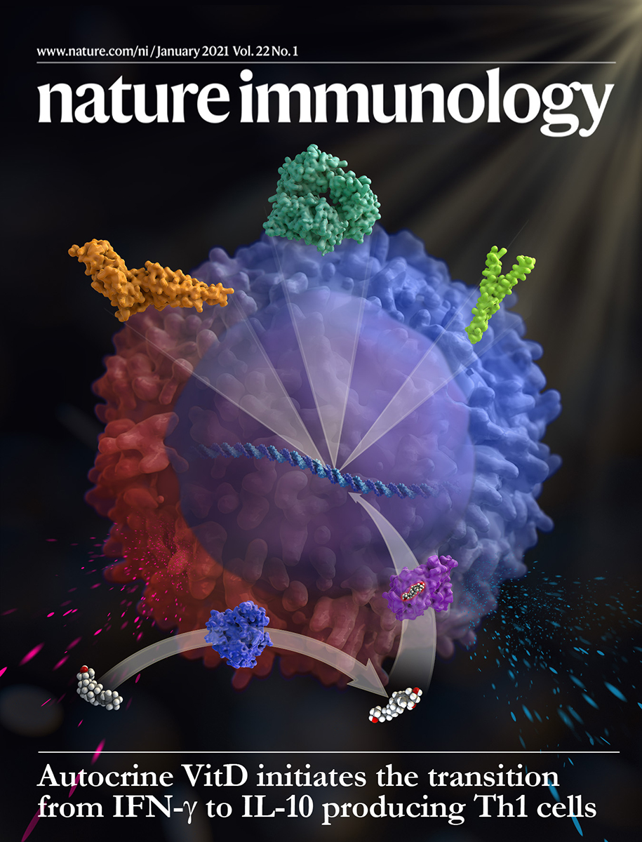 Nature Immunology Cover illustration