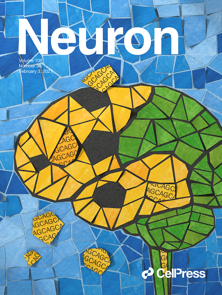 Neuron cover
