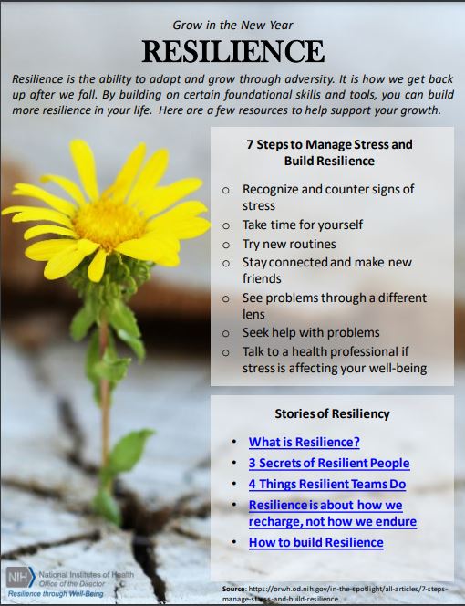 picture of a daisy with tips on how to resilience