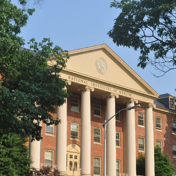 Building 1 image