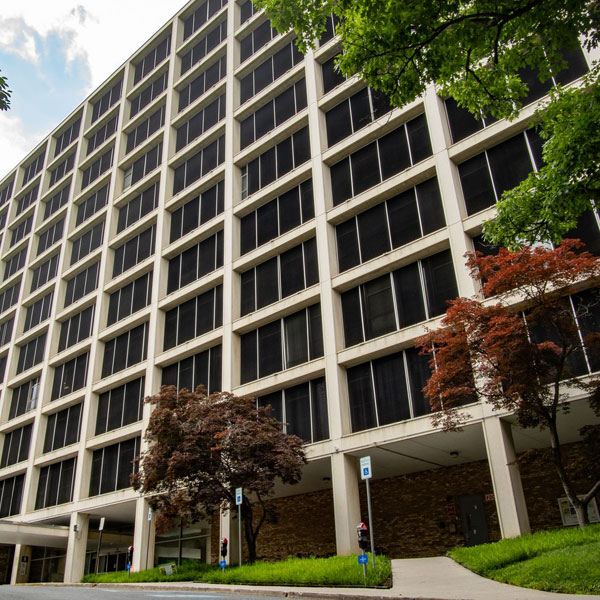 Building 31 image