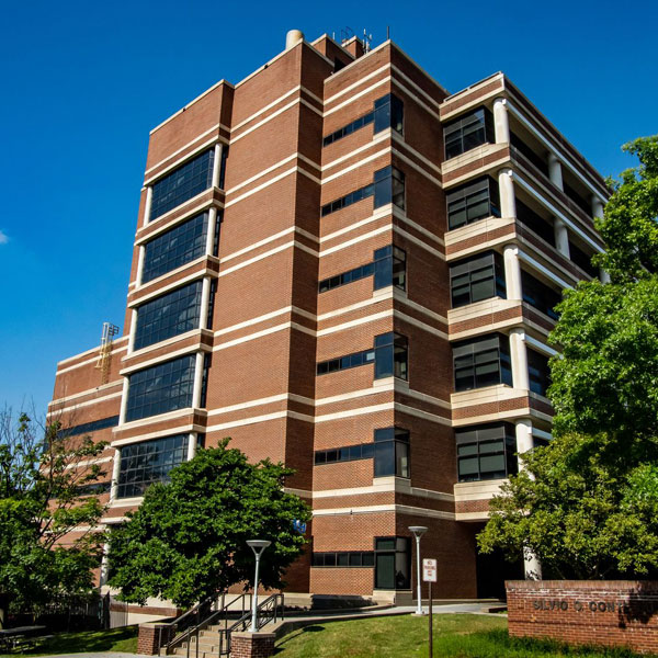 Building 49 image