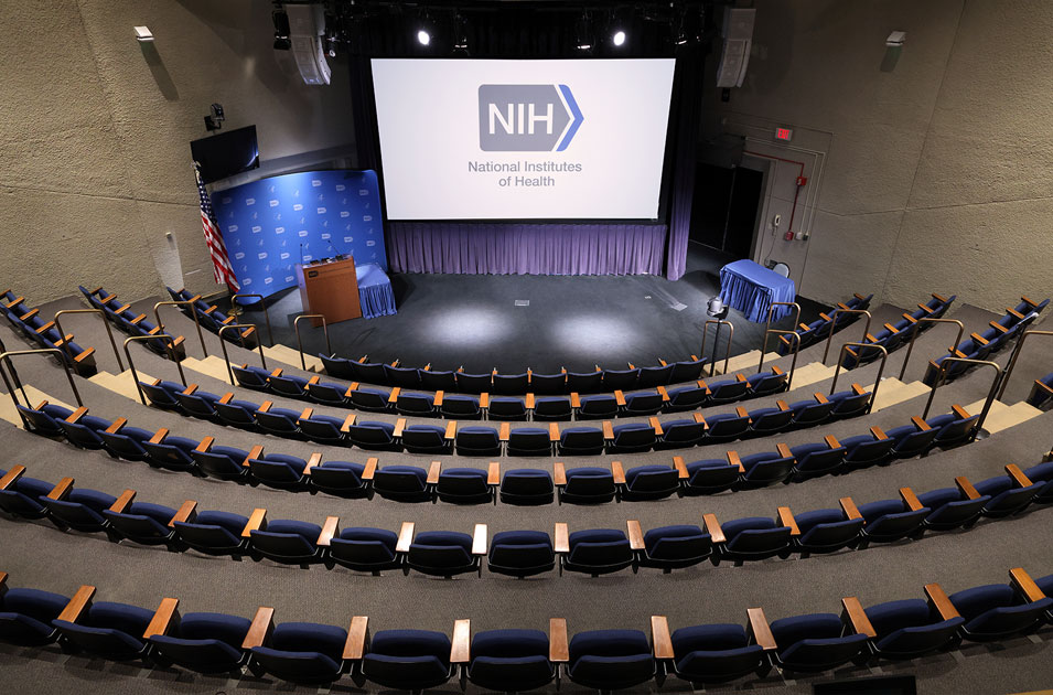 Lipsett Ampitheater Image
