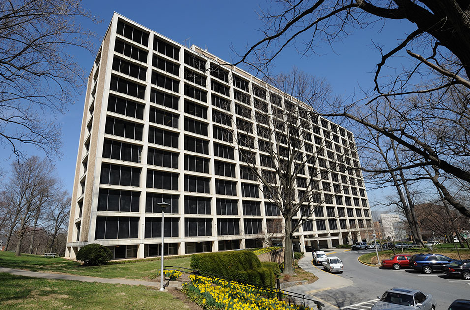 Building 31 image