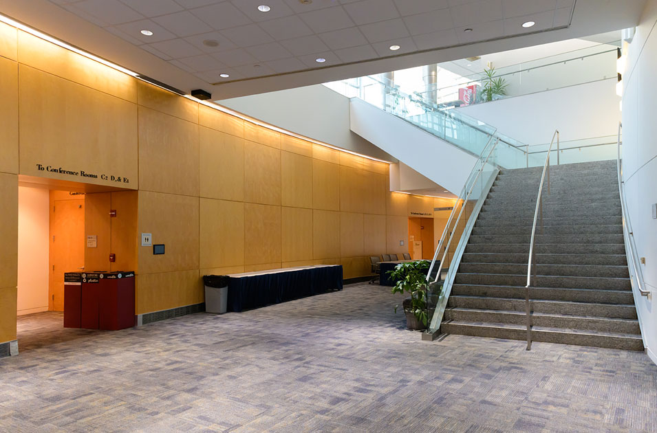 Lower Level Open Space Image