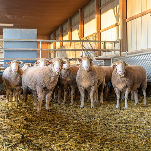 NIH Animal Center, Poolesville MD