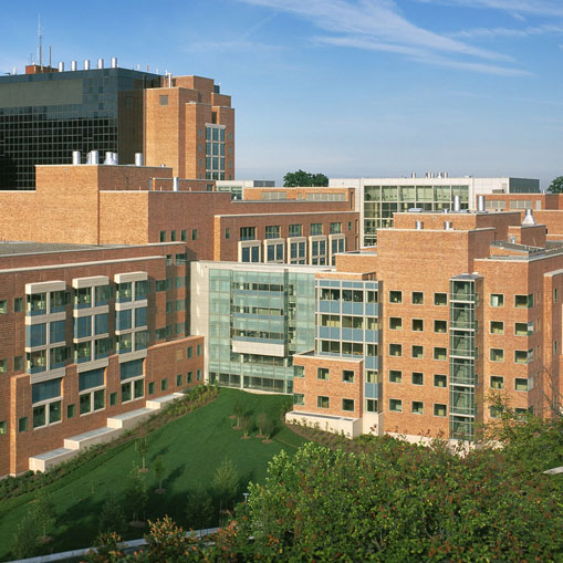 NIH Main Campus, Bethesda MD