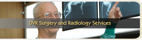 DVR Surgery & Radiology Services