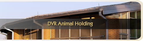DVR Animal Holding