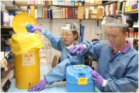 Researchers working in a laboratory