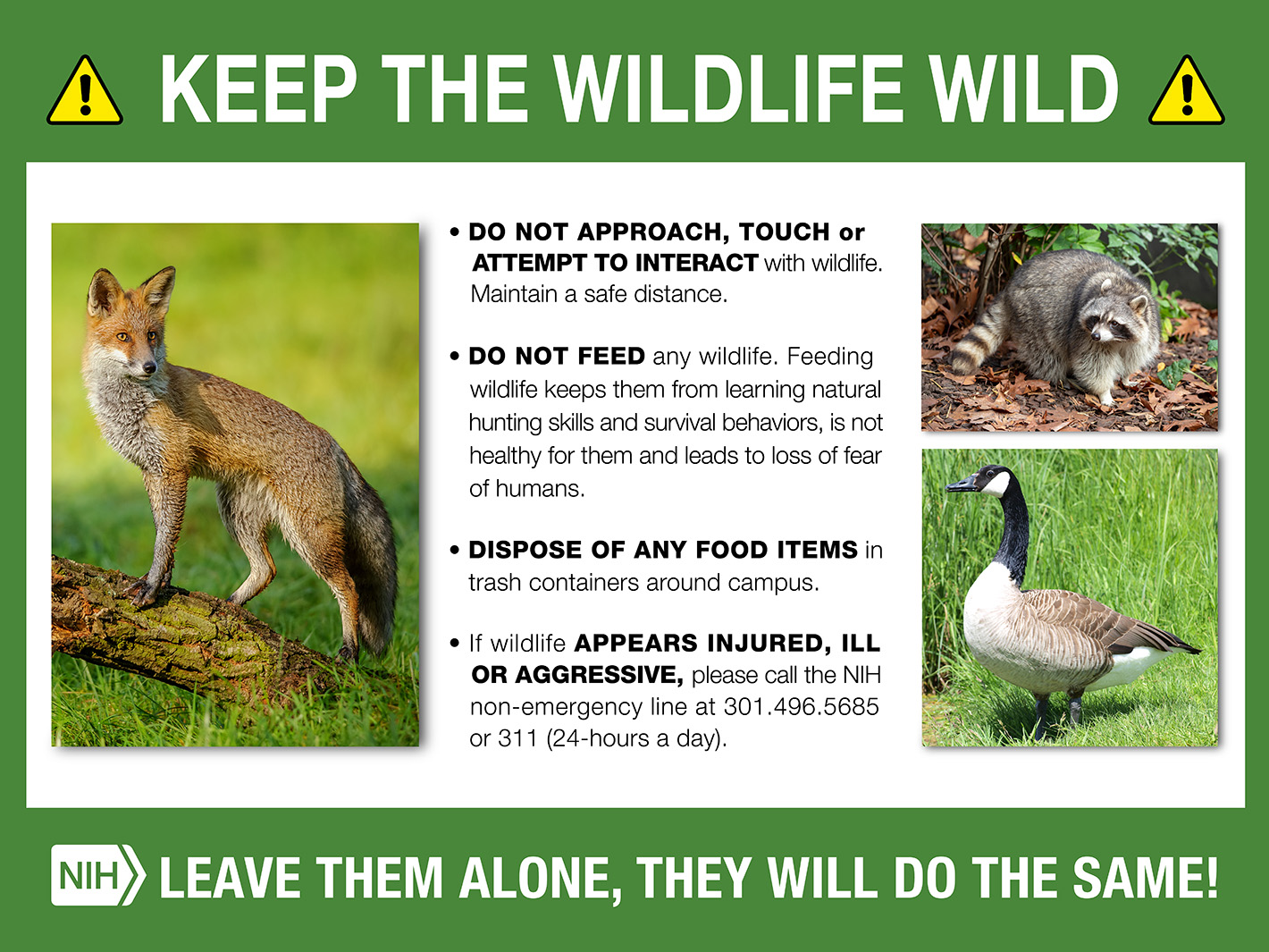 NIH Wildlife Banner